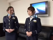Agent de bord japonais de Tokyo