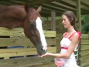 Gadis memberi makan kuda